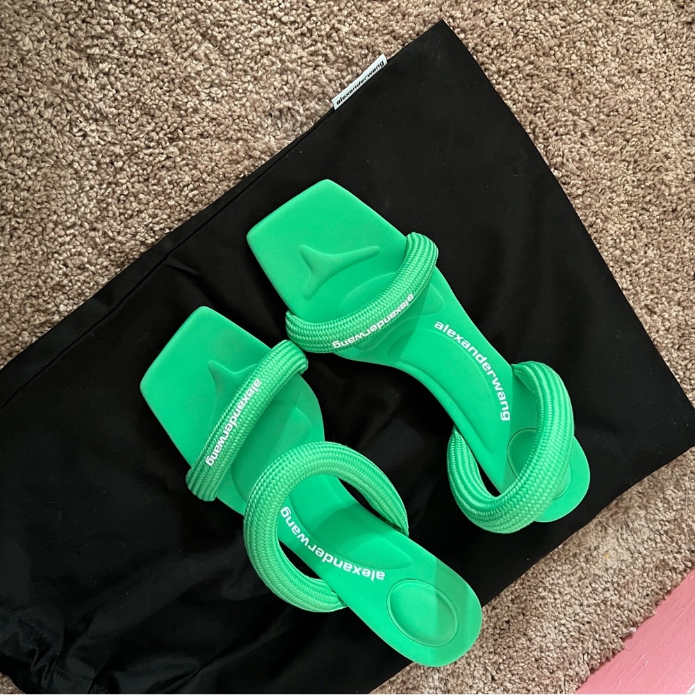 Green Alexander wang